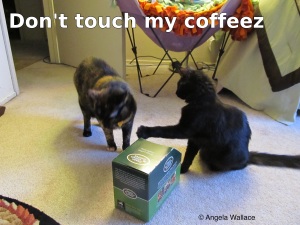 Don't touch my coffeez